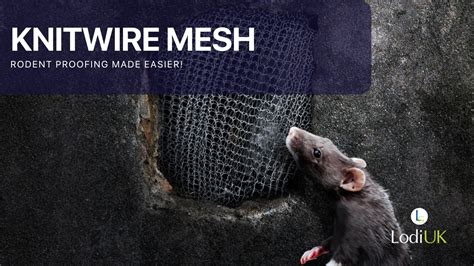 Rodent mesh.  Detailed blog on Rat Mesh, a versatile and durable rodent control materi...