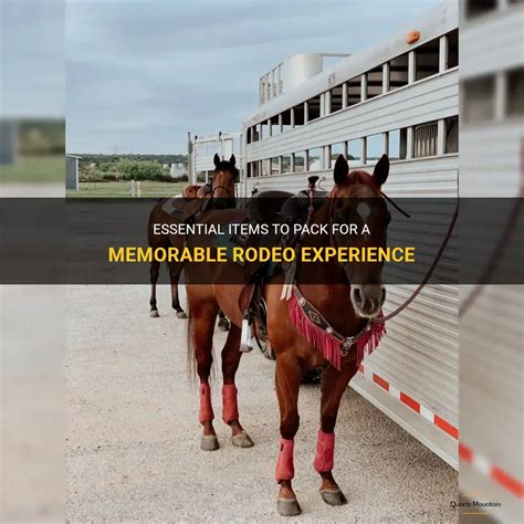 Rodeo experience.  Whether you&rsquo;re drawn by the heart-pounding rodeo action, th...