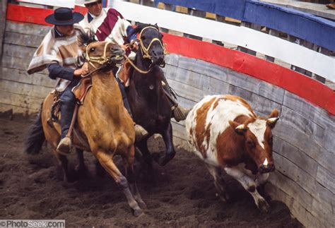 Rodeos in Chile - Traditional Huaso Sport Photos