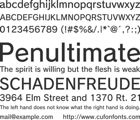 Rodin Font Free Download FreeFontDL