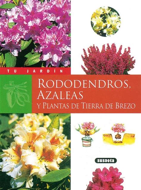 Rododendros, azaleas y plantas de tierra de brezo. - The park loop road a guide to acadia national parks scenic byway.