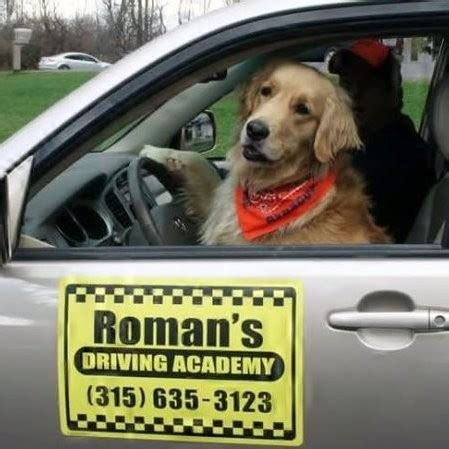 Rog Roman - Owner, Operator - Roman