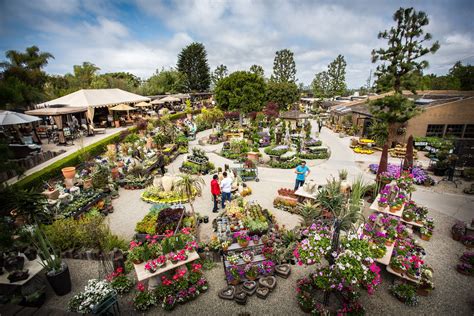 Rogers gardens. Roger’s Gardens is open daily at 2301 San Joaquin Hills Road, Corona del Mar, CA 92625. 949-640-5800; www.rogersgardens.com. 