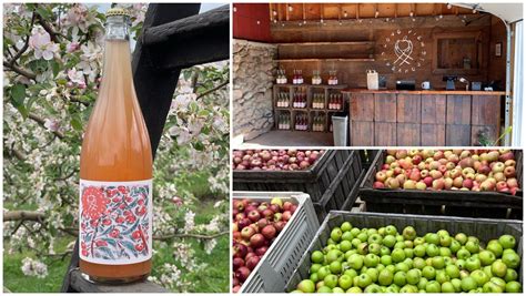 Rogers orchards. Things To Know About Rogers orchards. 