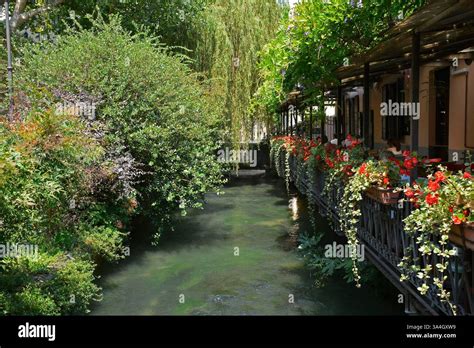 🔥 Roggia Leaks [PPV] 81 Videos