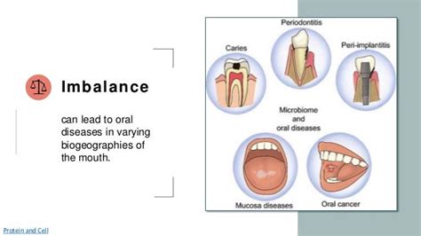 Rogue Chew: Unleash the Secret to Oral Health Revolution