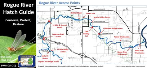 Rogue river trout fishing michigan.  View maps and get detailed catch informat...