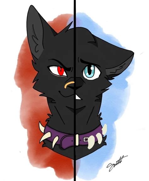 Rogue warrior cats. Needletail is a sleek, silver-gray she-cat with white chest fur.[10] She has a lithe,[11] long body, a thick tail,[12] a small gray nose,[13] and bold green eyes.[10] Needletail was a ShadowClan apprentice under Rowanstar's leadership in the lake territories and previously a rogue in the Kin under Darktail. She was born to Berryheart and Sparrowtail, and as … 