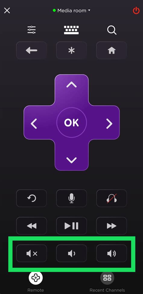 Roku Express Volume Control App
