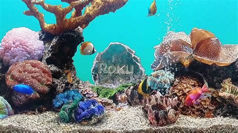 Roku aquarium screensaver. A channel full of different screensavers. It has marine and freshwater aquarium, holiday theme… + Add channel. Details ... 