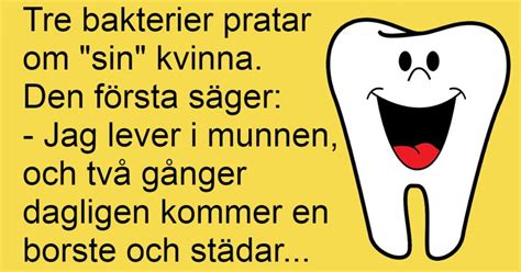 Roliga polska fraser