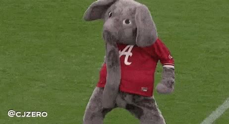 Roll tide gif funny. 1. Use “Roll Tide” as an exclamation to show your excitement. 2. Use “Roll Tide” when accepting a job offer to show your enthusiasm. 3. Use “Roll Tide” as a way … 