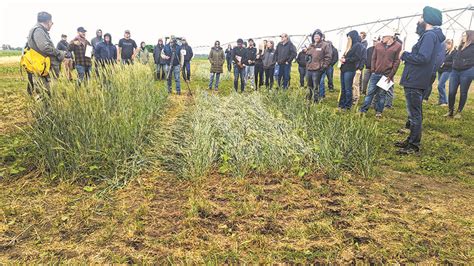 Roller crimping project research findings presented at Farming Smarter Field School
