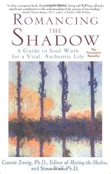 Romancing the shadow a guide to soul work for vital authentic life connie zweig. - Service manual for a 2004 evinrude 225.