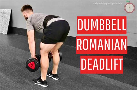 Romanian deadlift with dumbbells. Things To Know About Romanian deadlift with dumbbells. 