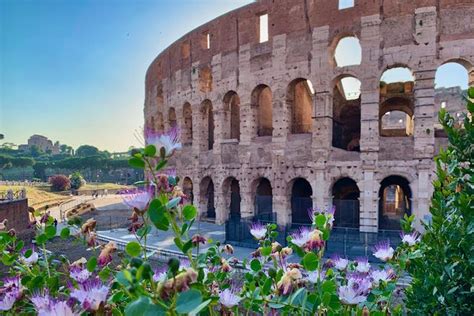 Rome in June Tips for visiting Rome in spring/summer Beautiful