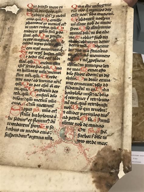 Romeinsch letter type uit de vijftiende eeuw. - Manuale d'uso scanner portatile bacchetta magica soluzioni vupoint.
