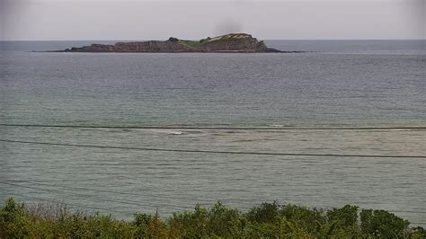 😈 XxX Romulscherries Leaks