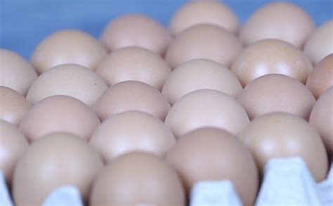 Ron Swafford - Manager Shelled Egg Quality Control