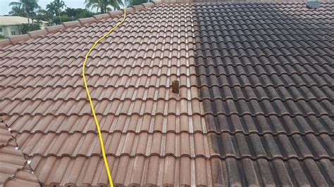 Roof Cleaning 101: Clean your roof in 4 easy steps Sauve ...