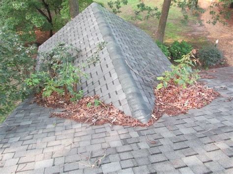 Roof Repair in Collinsville IL Roof Repair Pros