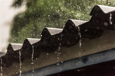 Roof leaks in heavy rain. Squirrels may wait out a heavy rainstorm in their nests, while using their tails to provide protection during light rain so that they may still forage for food or play. Squirrels m... 