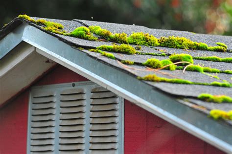 Roof moss treatment. For larger lawns you should double the proportions of each. Spray the mixture onto patches of moss and drench them thoroughly. Within 24 hours, the moss will dry up, turn brown, and die. Rake up the dead moss, and re-seed the areas. Finish off by placing soil on top of the seeds. Rating: Best Lawn Care Company. 5/5. 