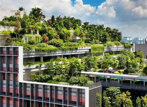 codini.rgarabwor.edu.pl. 