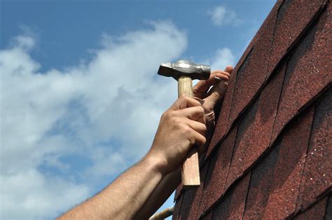 Roofer Contact, Emergency Roof Repair & Replacement ... - Bruce