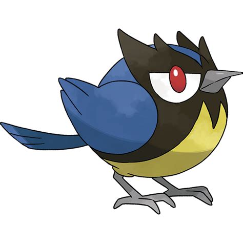 Rookidee (Pokémon) - Bulbapedia, the community-driven Pokémon …