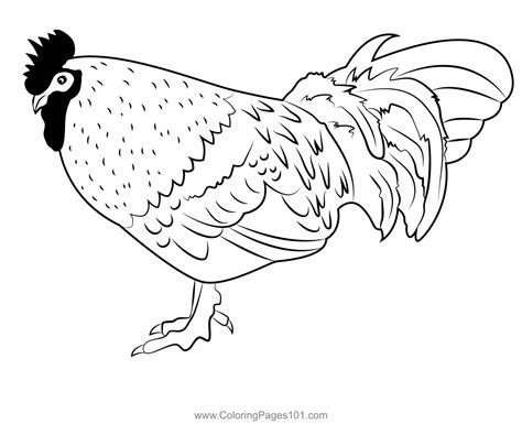 Rooster Coloring Pictures To Prin