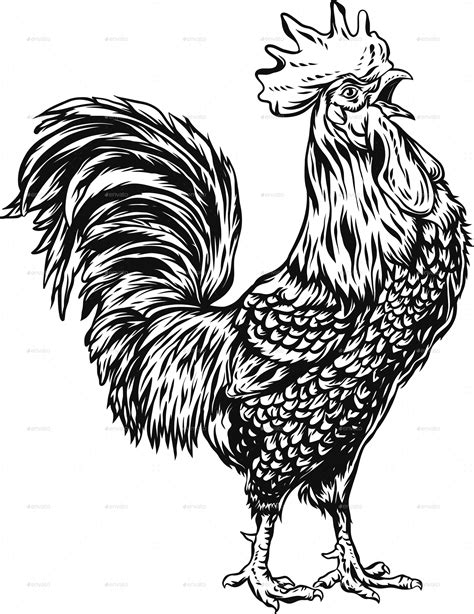 Rooster Line Art by wahyudin21 GraphicRiver