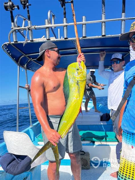 Roosterfish Fishing in Sayulita - FishingBooker