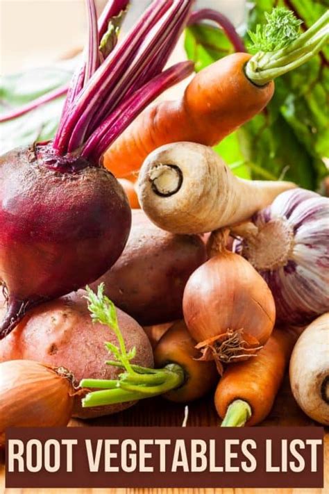 Root Vegetables List: 15 Favorites With Pictures