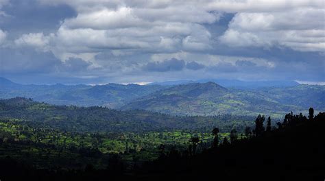 Root capital linkedin.  Root Capital | 38,062 followers on LinkedIn. 236 seg...