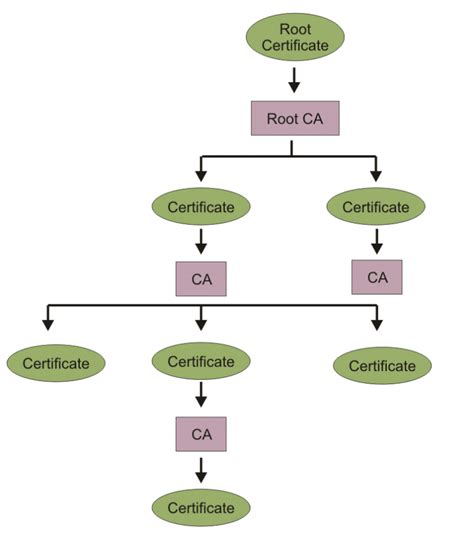 Root certificate authority. The certificates can be revoked if they are compromised. Intermediate CAs: An intermediate Certificate Authority (CA) is a CA that is subordinate to another CA (Root CA or another intermediate CA) and issues certificates to other CAs in the CA hierarchy. Intermediate CAs are usually stand-alone offline CAs like root CAs. 