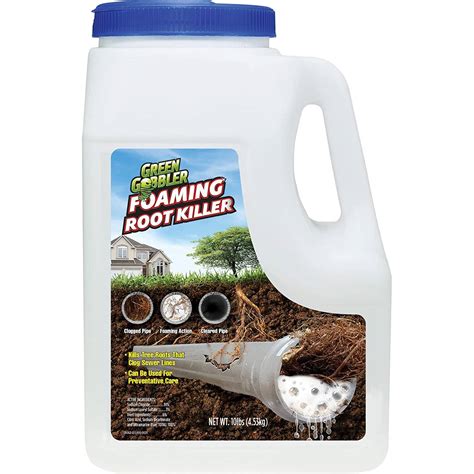 Root killer for drains. Rock Salt Can Kill Roots by Drying Them Out. The first method is to pour sodium chloride or copper sulfate, or rock salt, into your toilet. Pour a half pound of the salt into your toilet and flush as many times as you need to clean out the bowl, and repeat this process until you’ve flushed 2 pounds of salt into your pipes. 