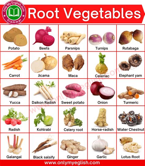 Root vegetable in asian cuisine crossword. Likely related crossword puzzle clues. Sort A-Z. Poi source. Poi base. Edible root. Root vegetable. Tropical tuber. Luau fare. Starchy tuber. 