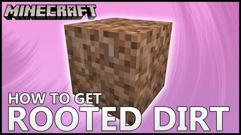Rooted Dirt in Minecraft