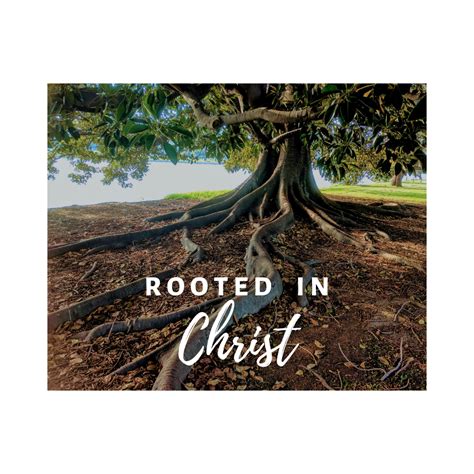 Rooted in christ. Being rooted in Christ means my faith stretches out from my island of individualism back to the rest of the Body of Christ. Sustainability and growth come when we entangle our lives together, sharing the nutrients found in broken bread and a common cup. Being rooted in Christ means rejecting the image of self-reliance and looking deeper ... 