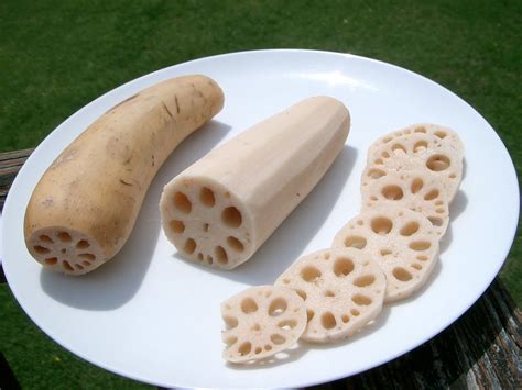 Rooted lotus. Lotus root (Nelumbo nucifera root) covers your daily need of Vitamin C 46% more than Eggplant. Lotus root (Nelumbo nucifera root) has 6 times more Vitamin B2 than Eggplant. While Lotus root (Nelumbo nucifera root) has 0.22mg of Vitamin B2, Eggplant has only 0.037mg. These are the specific foods used in this comparison Lotus root, raw and ... 