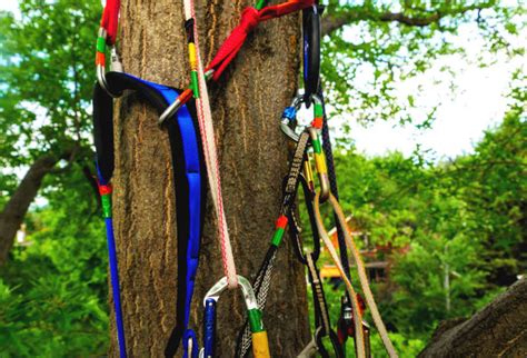Rope anchor boat.  Tree climbing by arborists.  When choosing a winch, prioritize quality and...