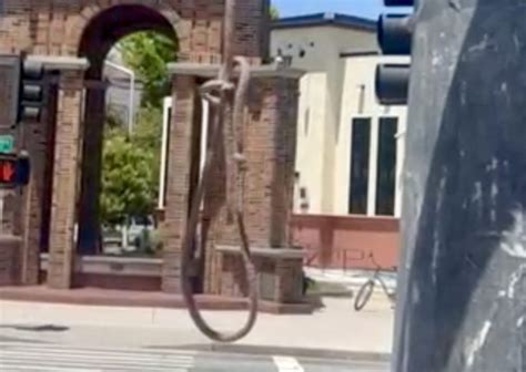Rope looped like noose found hanging in downtown Santa Cruz