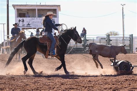 Roping Schools - EquiSearch