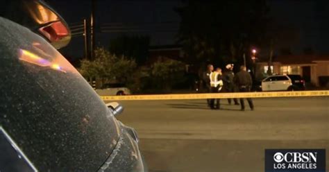 Rosa Zareaseisan Killed in Hit-and-Run Crash on Reseda Boulevard [Los Angeles, CA]