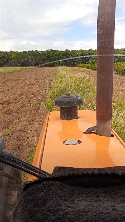 Rosa.Merlim Leaked +18 45 Videos