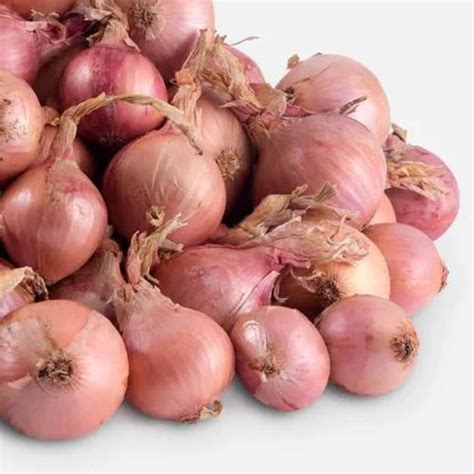 Roscoff Onions, 1kg : Amazon.co.uk: Grocery