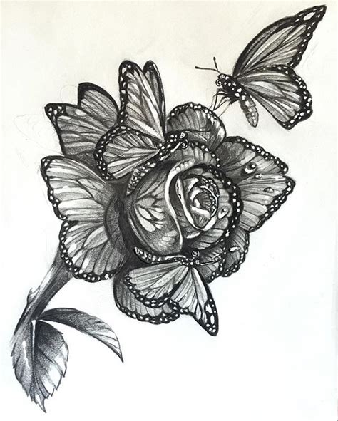 Rose And Butterfly Drawing