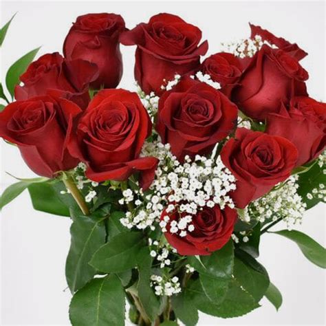 Rose Bouquet 12 Stem - Red Freedom 50 cm - Wholesale - Blooms …