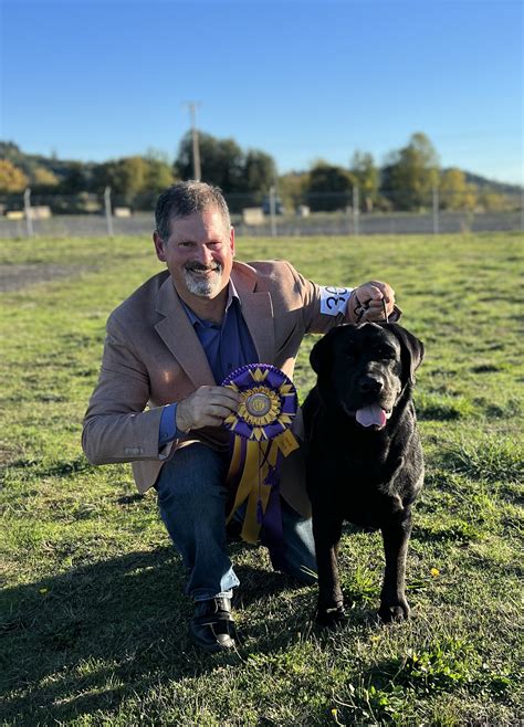 Rose City Classic Puget Sound Labrador Retriever Association